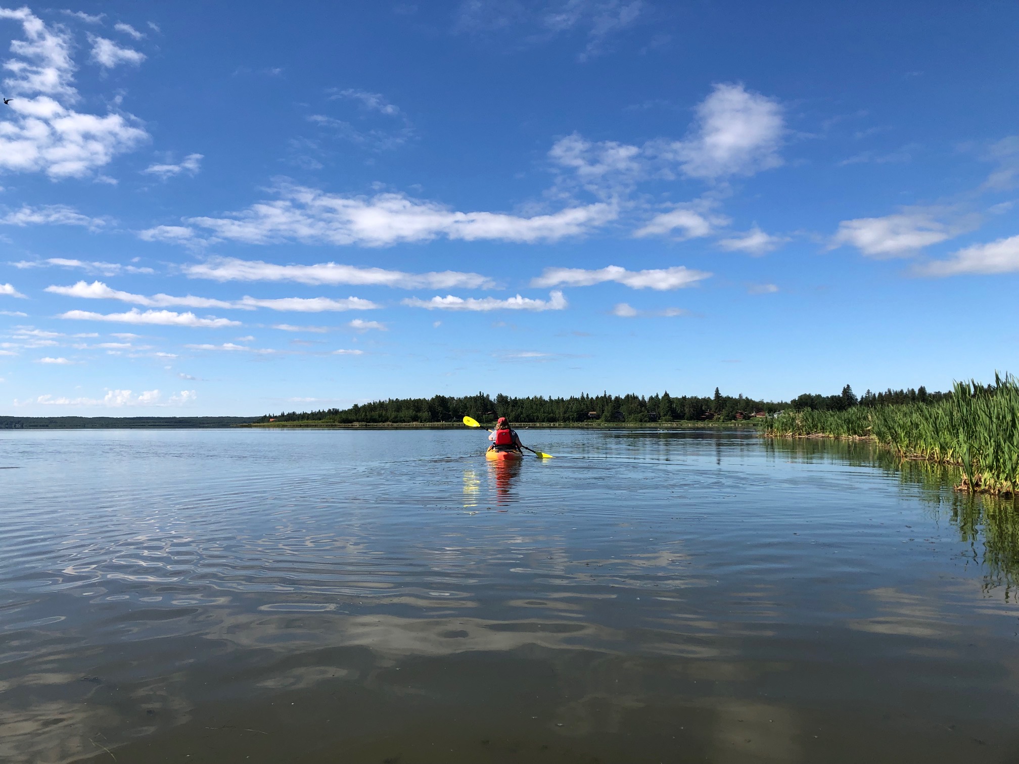 Canoeing Around Edmonton, Alberta, Canada Sandy Lake