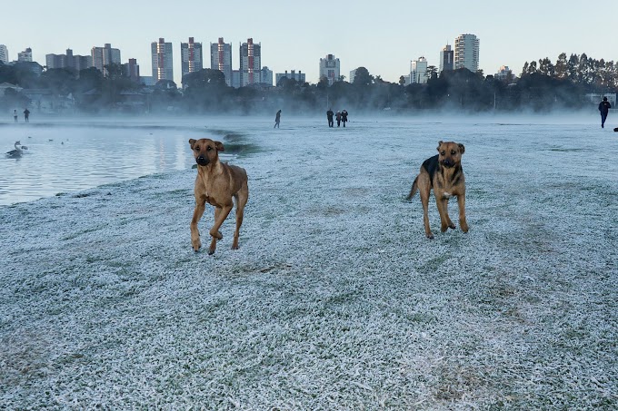 Olhar Curitiba | Geada transforma paisagem