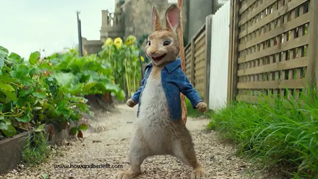 Movie Reviews : Review and Synopsis Peter Rabbit (2018) Movie Reviews : Review and Synopsis Peter Rabbit (2018)