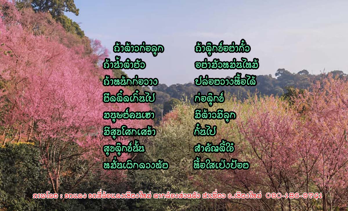 รถแดง รถสี่ล้อแดงเชียงใหม่ ตากล้องส่วนตัว นำเที่ยว จ.เชียงใหม่ 090-186-9741