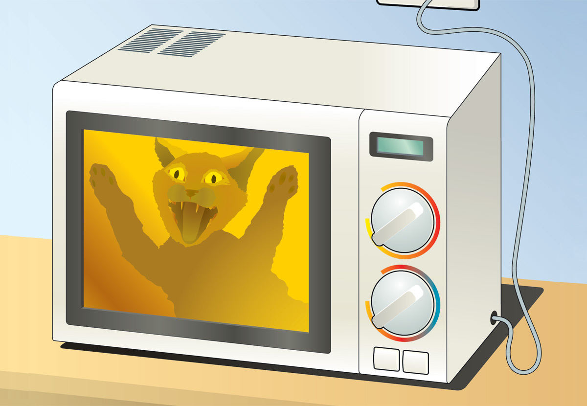 панель управления для микроволновой печи маршал. звук работы микроволновки. печь микроволновая turbo microwave tmw-1100nm. микроволновка на кронштейне. микроволновка.