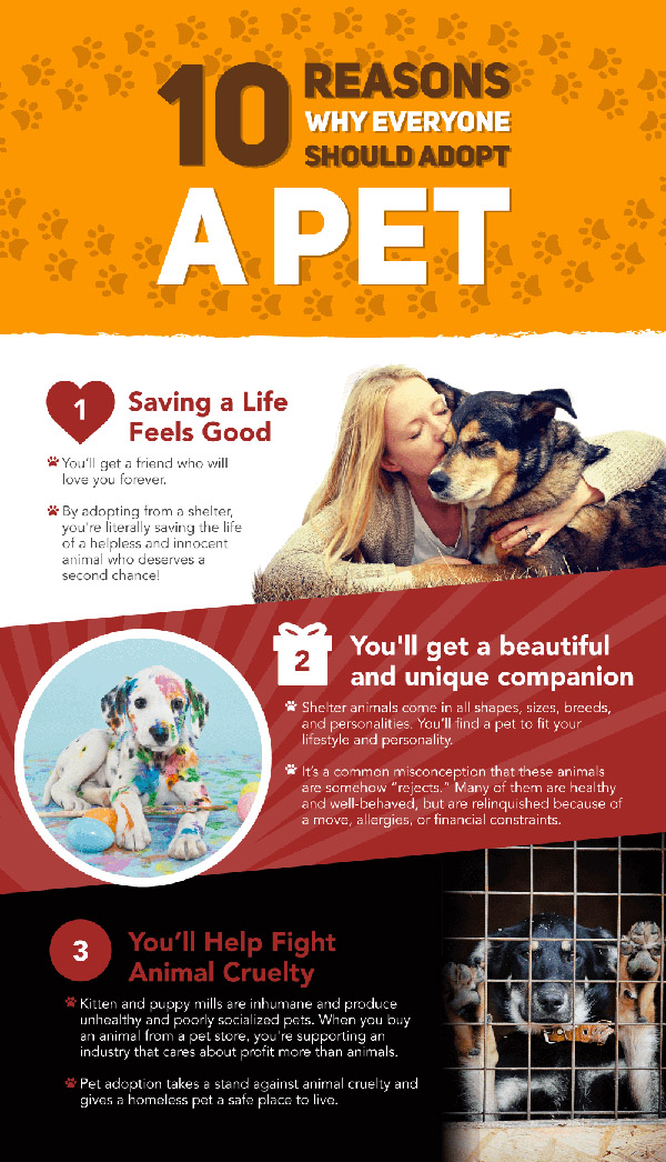 reasons why you should adopt a pet - pet adoption - family - home - kids