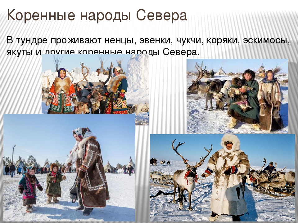 Коренные народы россии проект