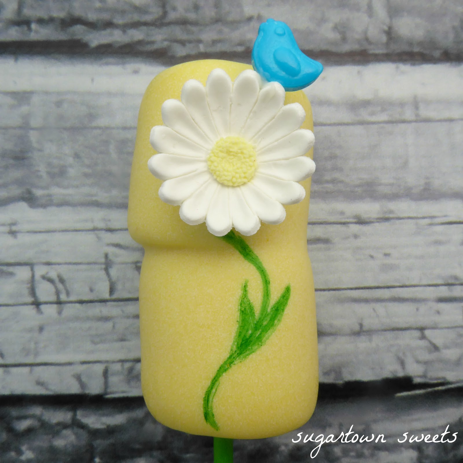 Sugartown Sweets White Chocolate Covered Marshmallow Daisy Bouquet