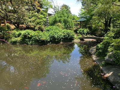 �V�s�������r