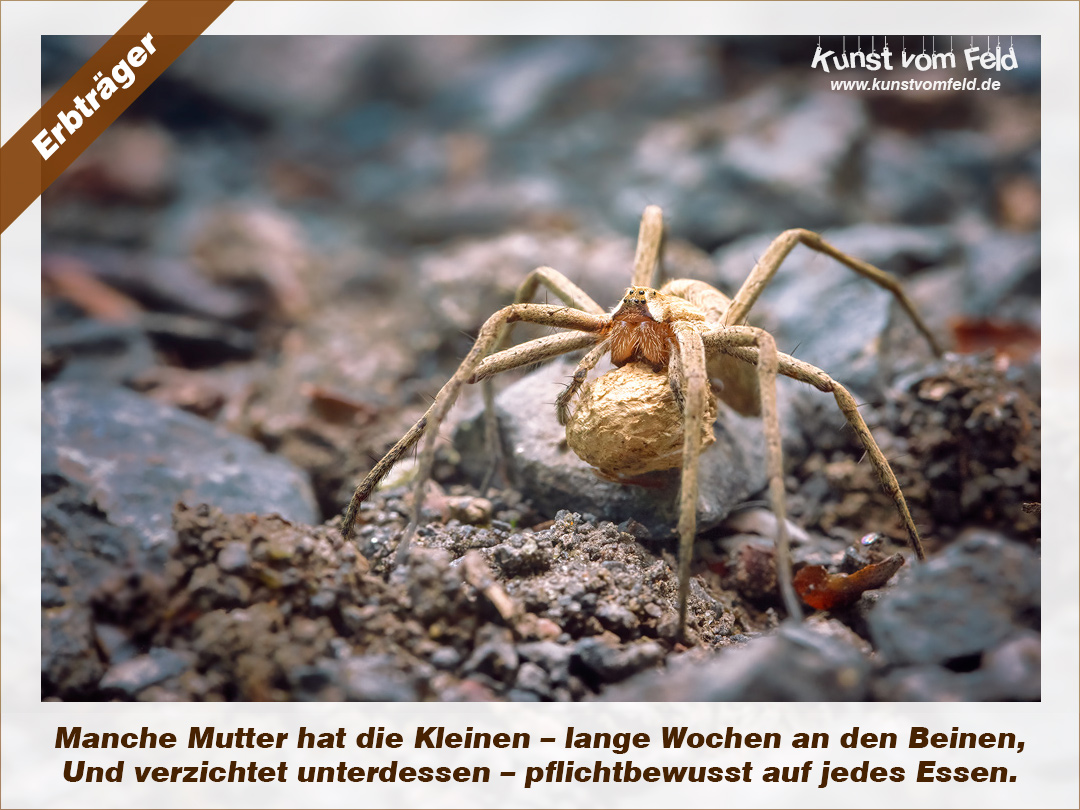 Kunst Vom Feld Erbtrager