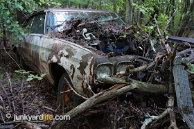 This Chevelle has been in the woods for more than 20 years.