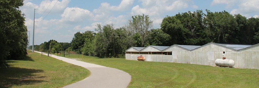 En el TECO-Auburndale Trail En el TECO-Auburndale Trail