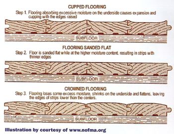 Hardwood Flooring And Water Damage, Hardwood Floor Cupping Water Damage