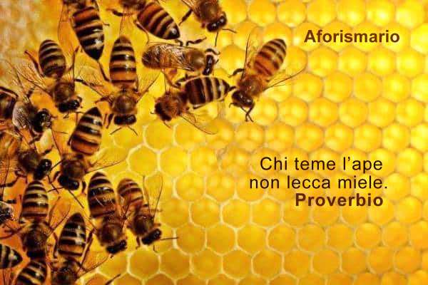 Aforismario Aforismi Frasi E Proverbi Sul Miele