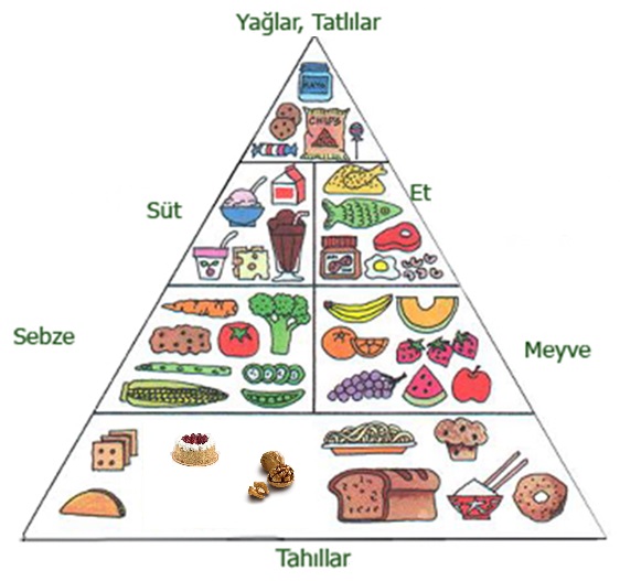 dengeli beslenmenin insan