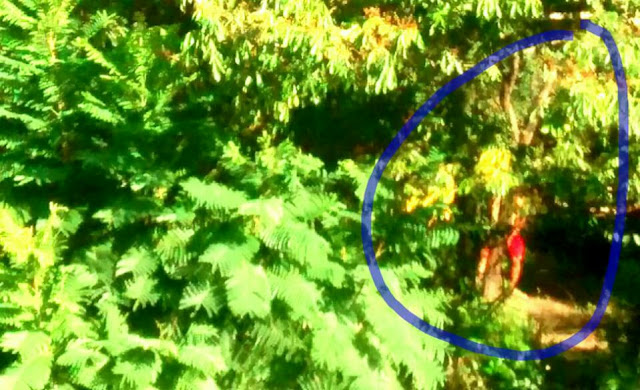 Jacobina: Homem é acusado de assediar mulheres na João Fraga Brandão 