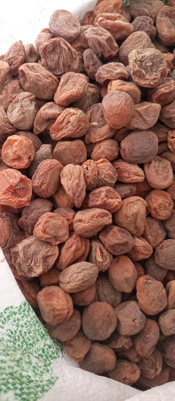 Siachen Dry fruits suppliers ( Chilgoza )