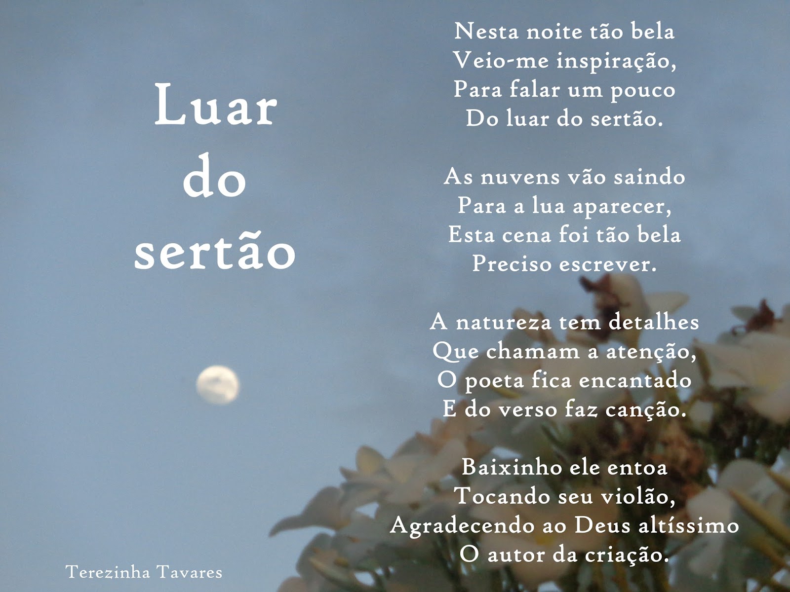 Terezinha Tavares Poema Luar do sertão