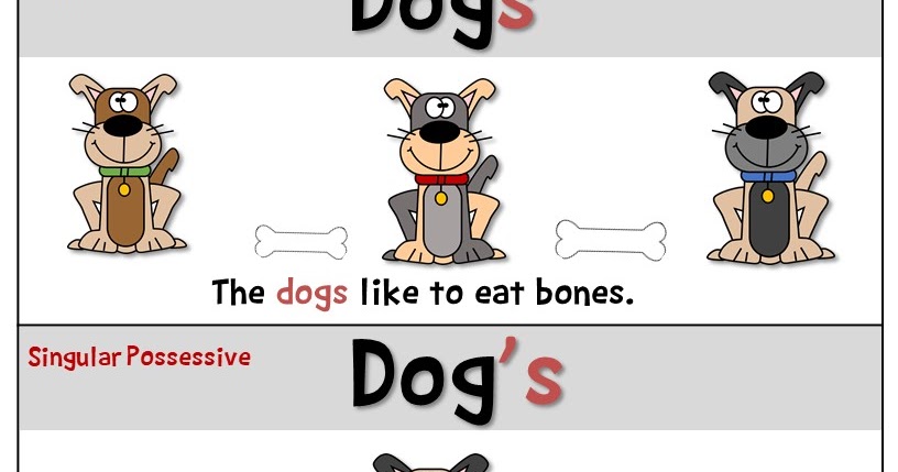 Plural Possessive Poster Freebie Teacher s Take Out