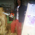 Freddy Flintstone