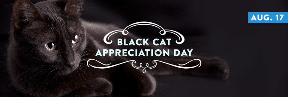 National Black Cat Appreciation Day