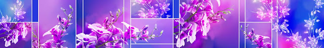  Скинали фиолетовые орхидеи