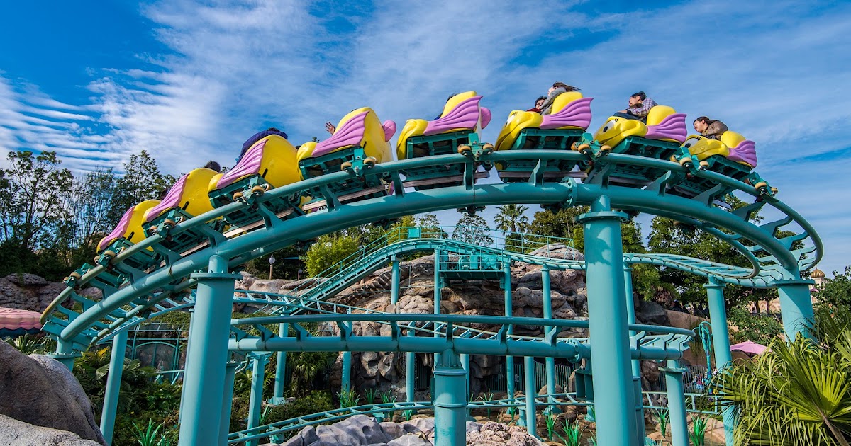 The Flying Fish Coaster