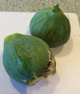 lattarula fig