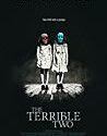 The Terrible Two (2018)