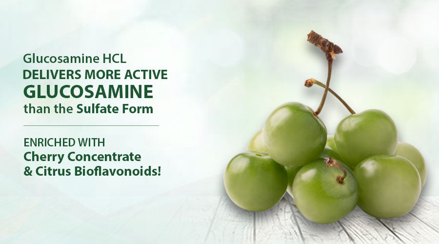 Think Like No Box NUTRILITE Glucosamine HCL with Boswellia