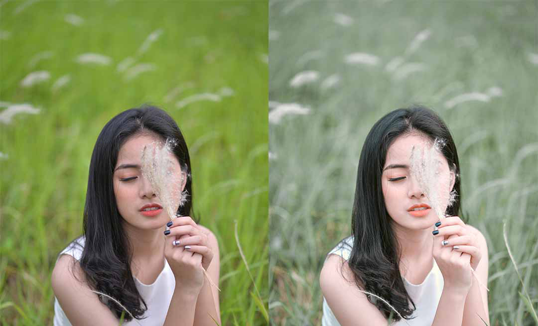 Tổng hợp 18 preset ảnh chân dung cho Cameraraw và Lightroom