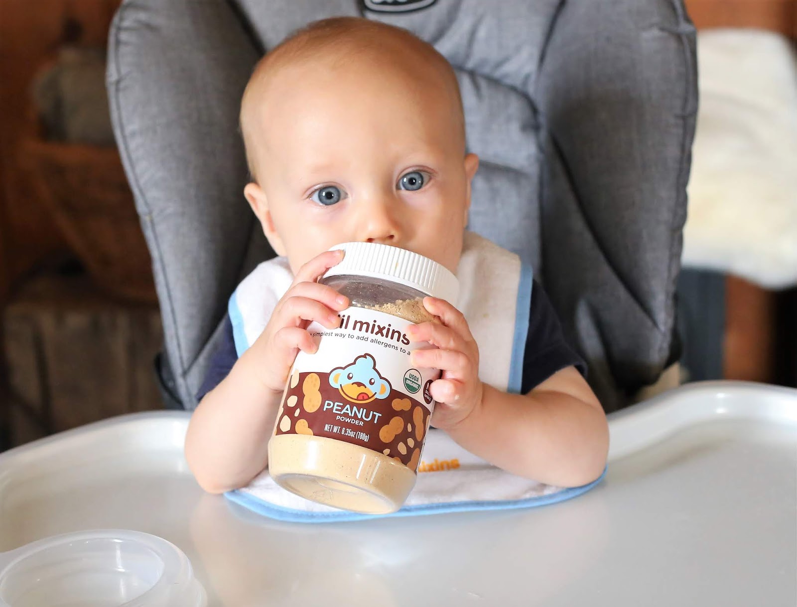 Our Five Ring Circus Homemade Peanut Banana Oatmeal Baby Food + The