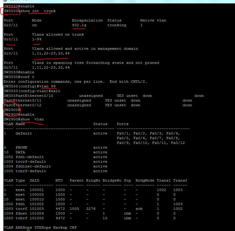 Trunk lab with Real Cisco switch Cisco labs CCNA