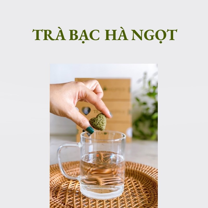 Trà Đình Viên trà bạc hà 8 viên/14 viên