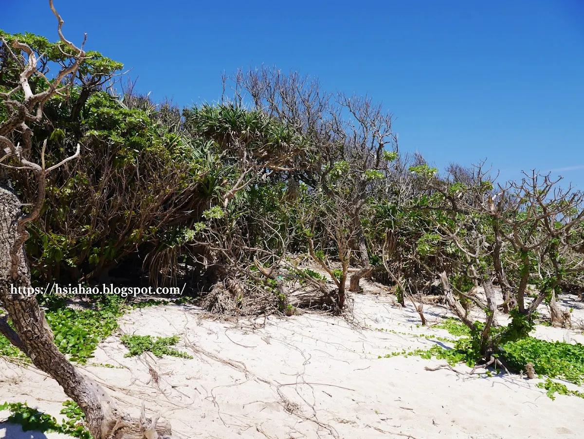 沖繩-景點-離島-外島-久高島-自由行-旅遊-Okinawa-kudaka-island