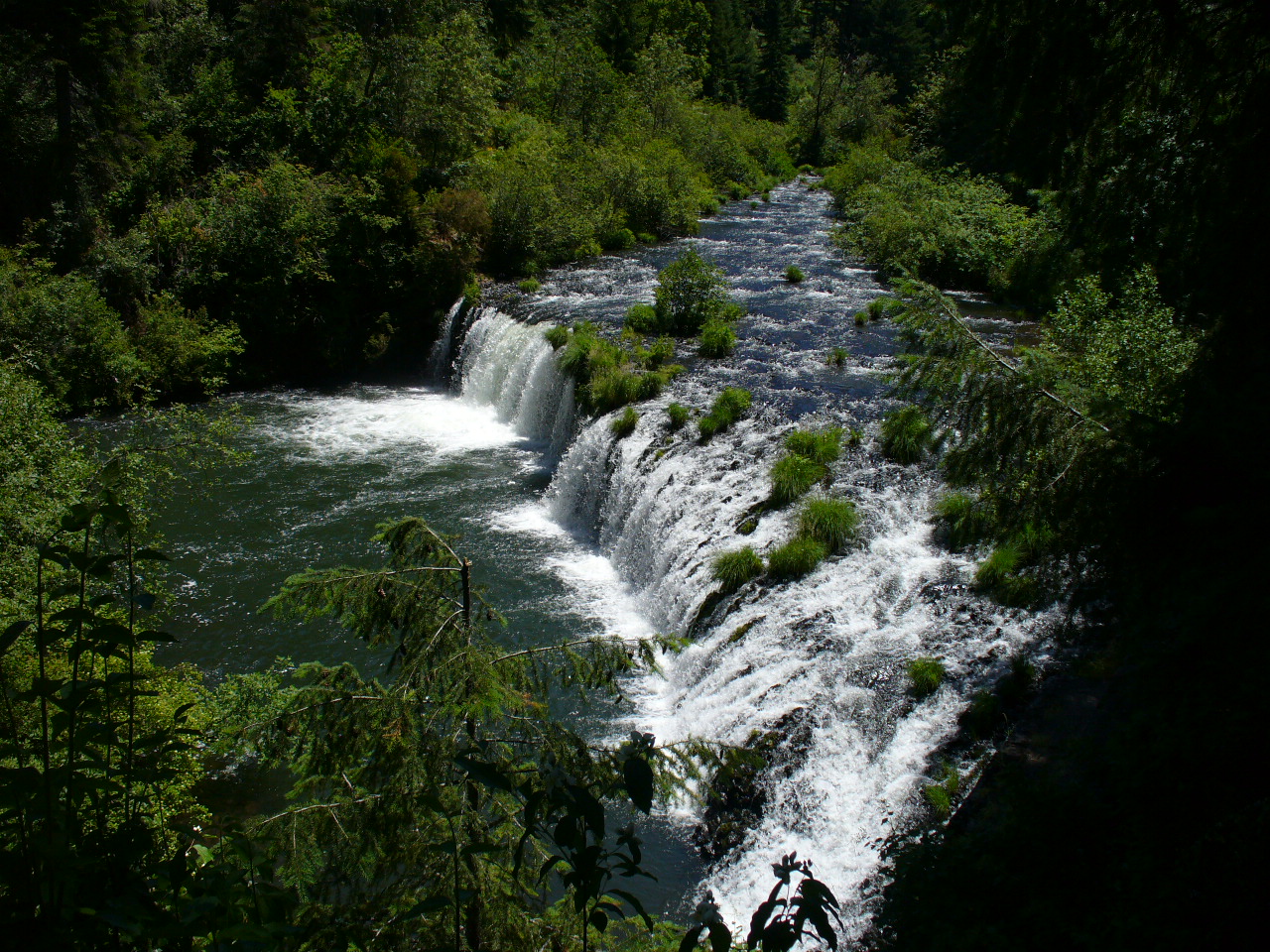 Blurb Column Butte Falls