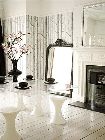 {through the looking glass}