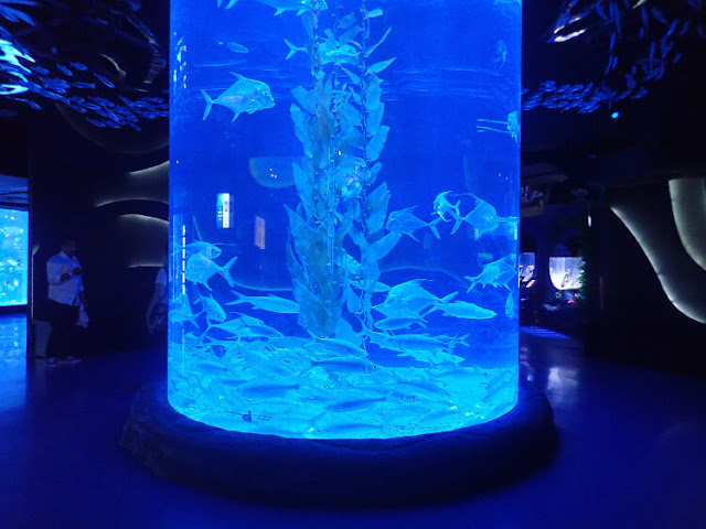 spot foto di jakarta aquarium