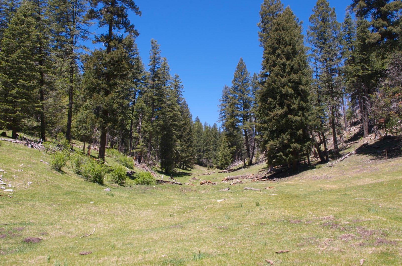 Southern New Mexico Explorer Wayland Canyon Trail( FT 433) Lincoln
