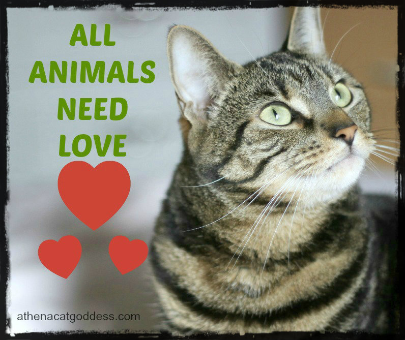 Athena Cat Goddess Wise Kitty National Unwanted Pet Week NUPW