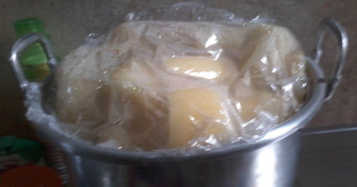 Laporan Praktikum Pembuatan Tape Singkong PDF Download