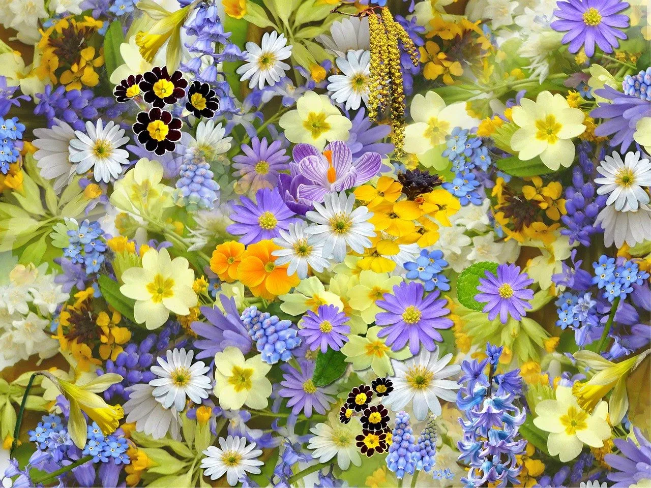 persebaran flora