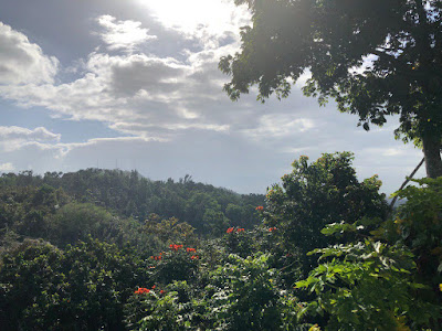 vistas-casa-ceiba-puerto-rico-aeroyoga-institute