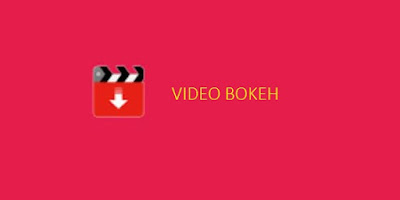 Video Bokeh Museum Internet