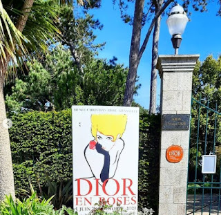 Dior123456789101234567