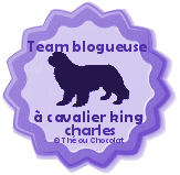 Team Bloggeuse