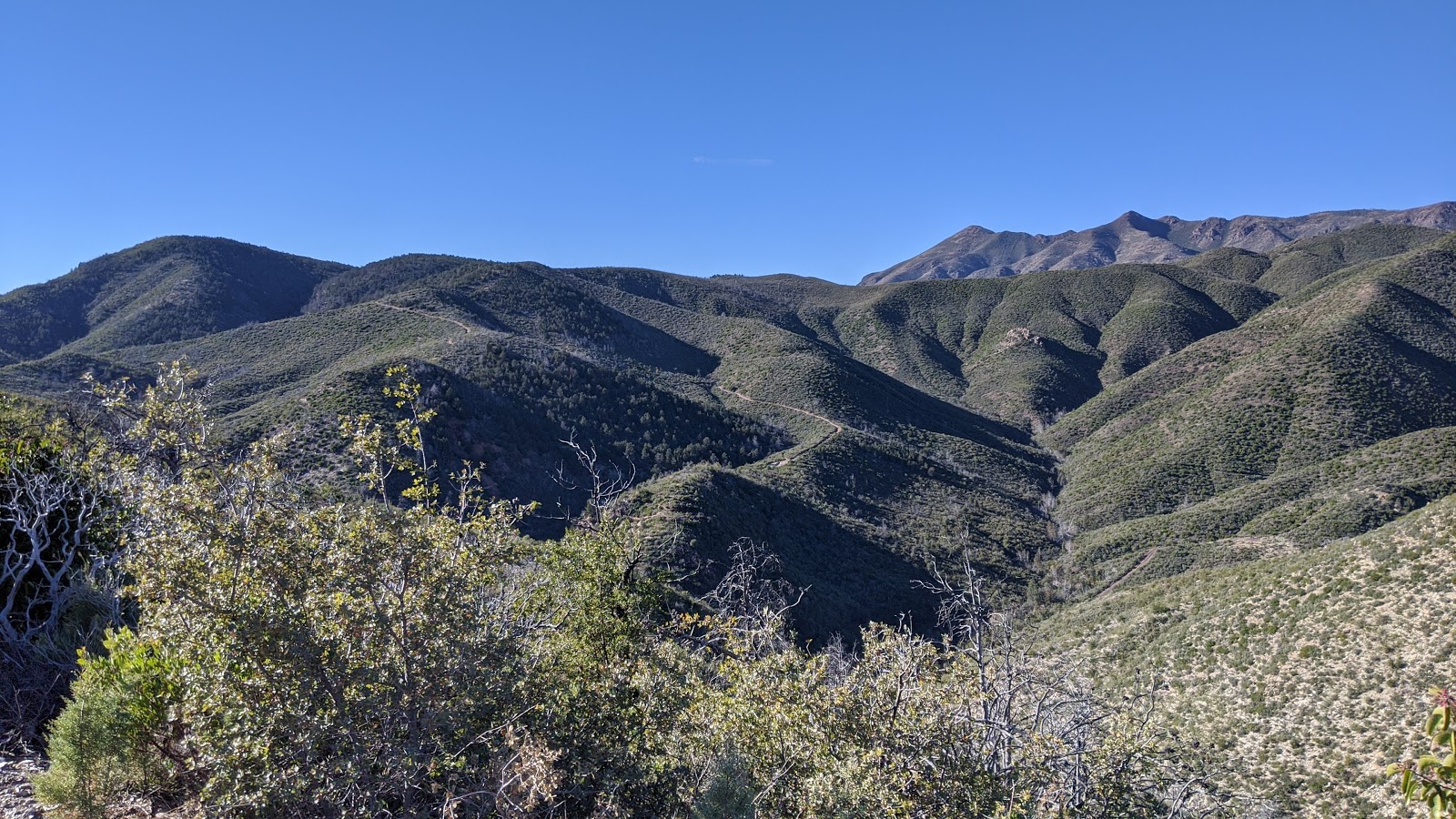 My Two Schillingsworth Cane Springs Loop