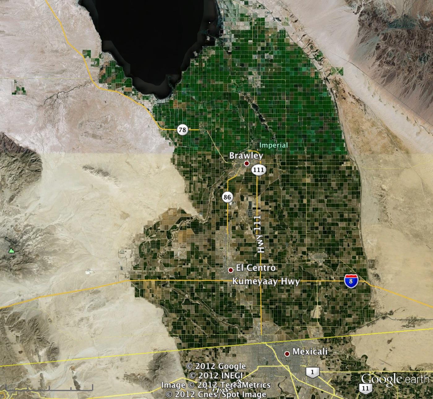 The Most Sought After Wasteland