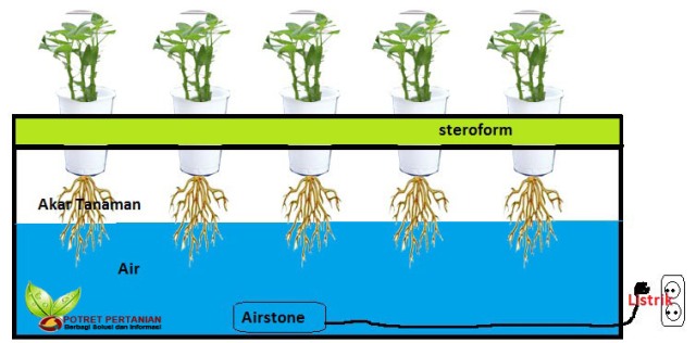 Mudahnya Membuat Sistem Hidroponik dengan Pompa Aquarium Anda Mudahnya Membuat Sistem Hidroponik dengan Pompa Aquarium Anda