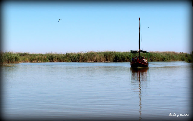 Paseo en barca por la Albufera-Valencia