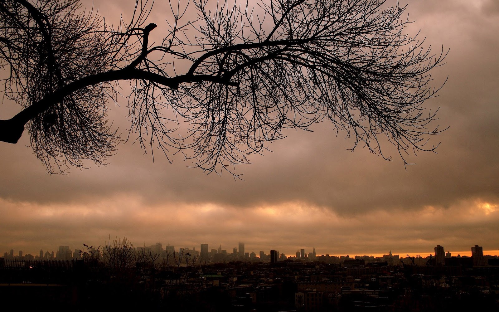 Collection HD Wallpapers | widescreen wallpaper | widescreen wallpaper