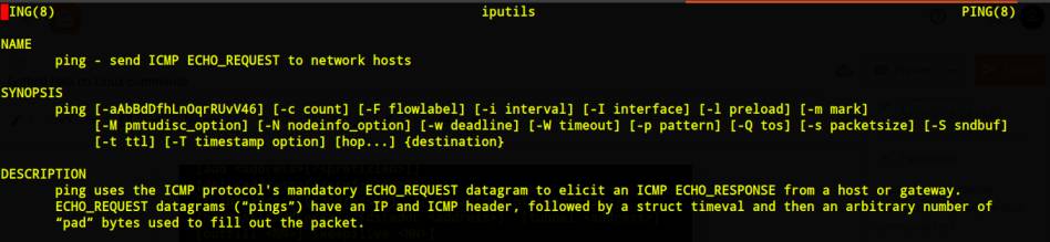 Getting help on Linux commands
