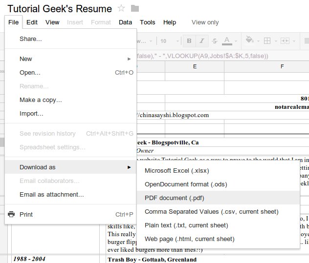 How to make a Google Doc Spreadsheet template for a dynamic resume or