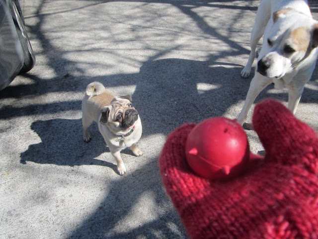 Urban Hounds: Super Easy Magic Loop Mittens
